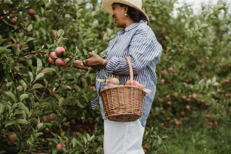 farm tours for fruit picking