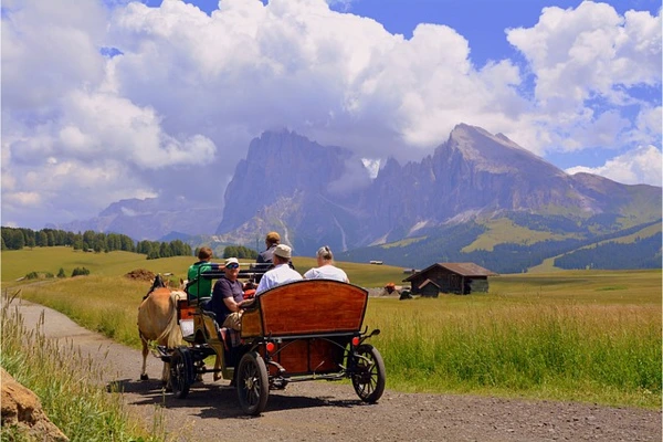 horse buggy ride